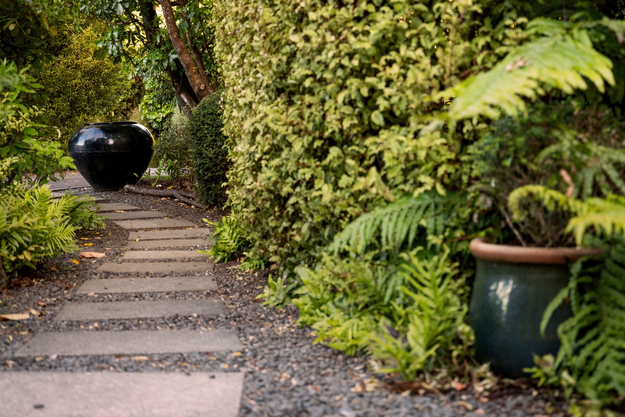 The Point Villas - Villa 2 - bush walkway